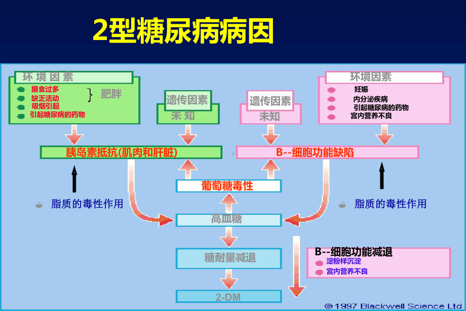 口服降糖药物作用机制及临床应用课件.ppt_第3页