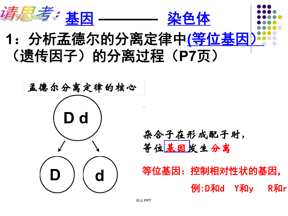 人教版高中生物必修2第2章第2节基因在染色体上课件4.ppt_第3页