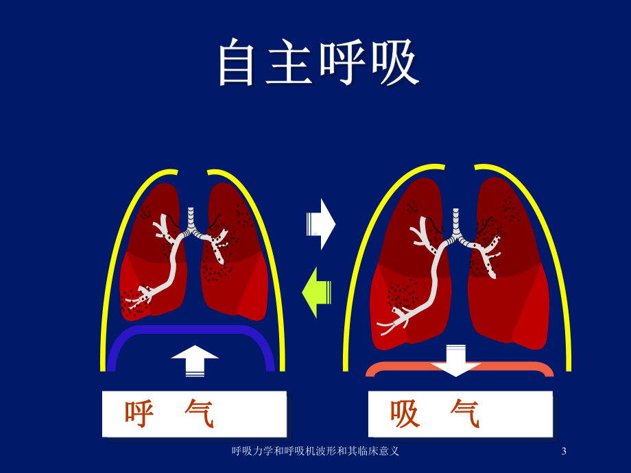 呼吸力学和呼吸机波形和其临床意义培训课件.ppt_第3页