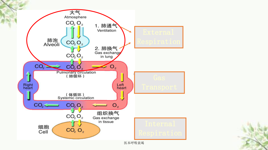 医本呼吸衰竭课件.ppt_第3页