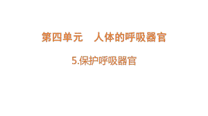 4.5 保护呼吸器官 ppt课件-2022新大象版四年级上册《科学》.pptx