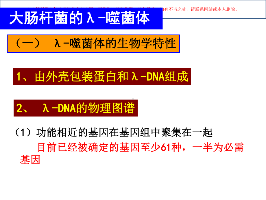 大肠杆菌的噬菌体培训课件.ppt_第3页