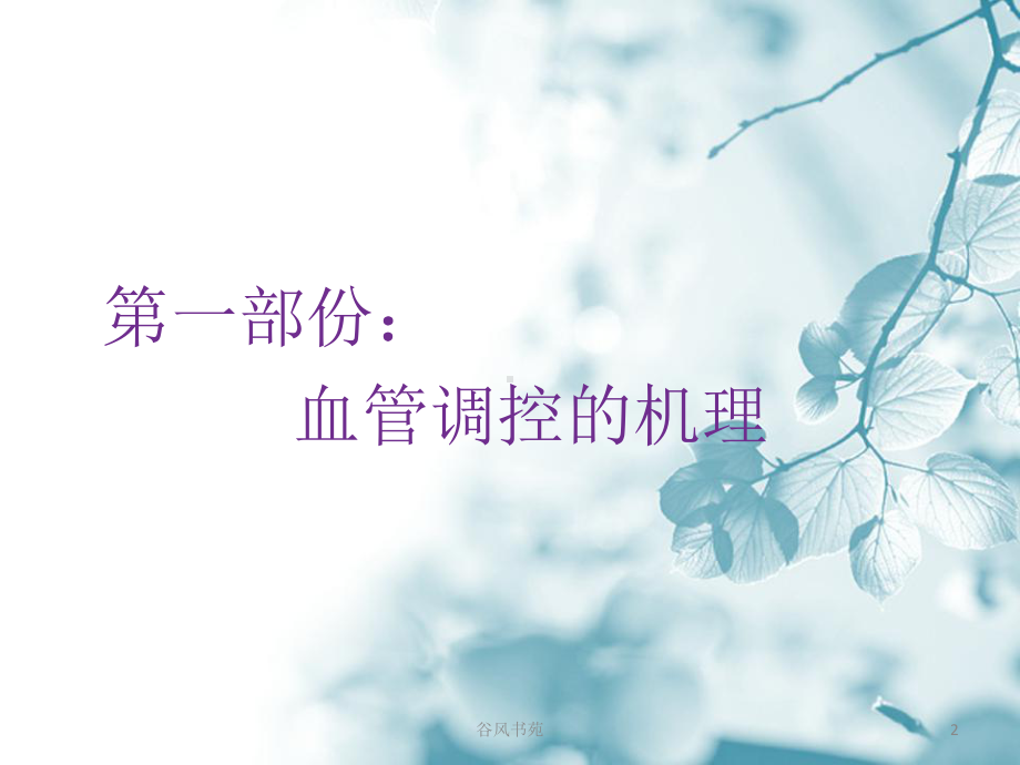 升压药物的临床应用及观察课件.ppt_第2页