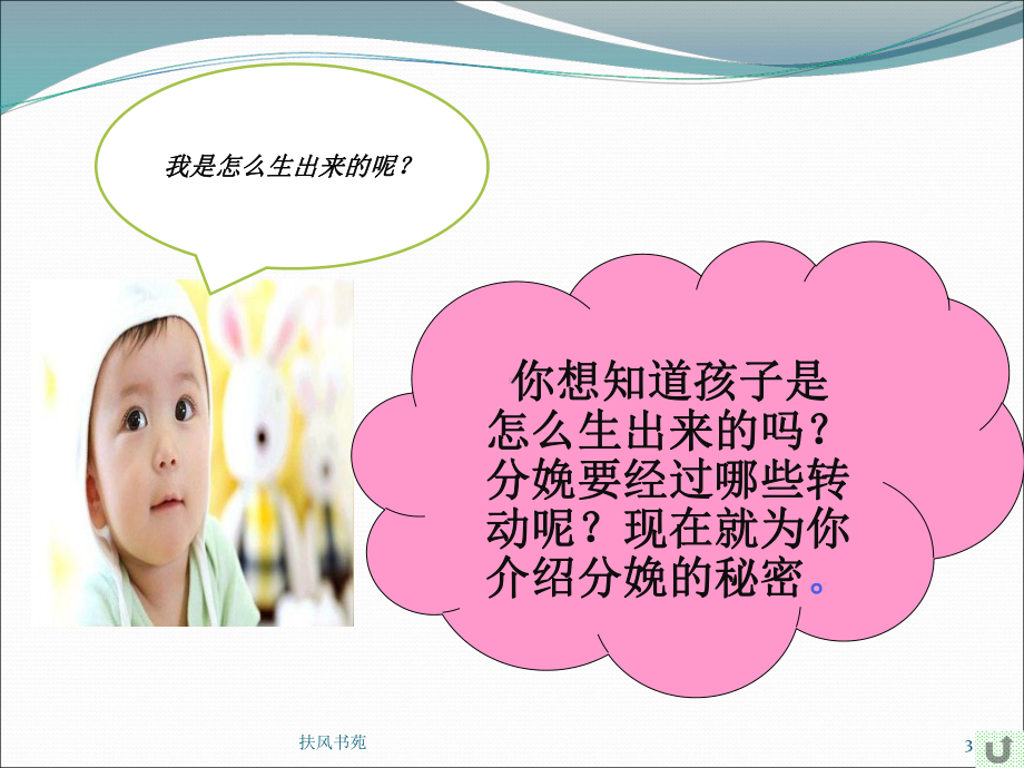 分娩机制[业界特制]课件.ppt_第3页