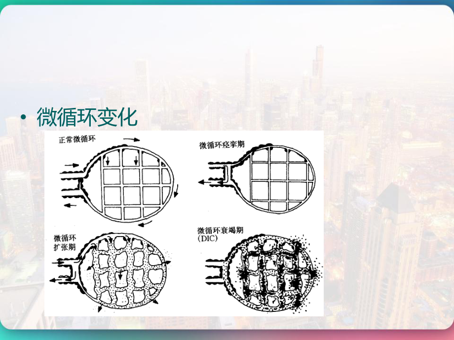 外科休克病人的护理-课件.pptx_第3页