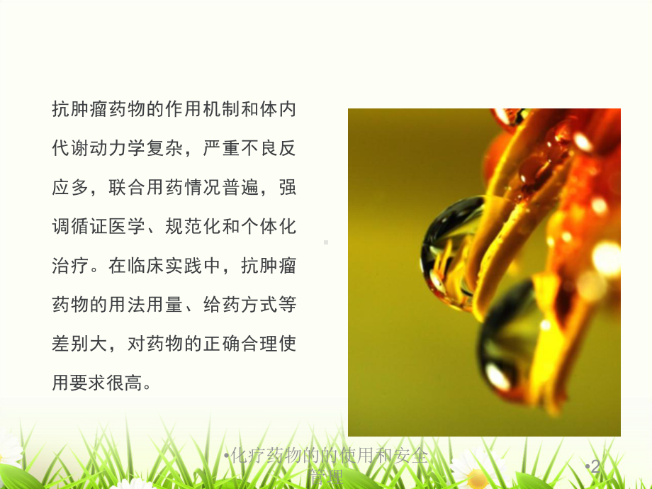 化疗药物的的使用和安全管理培训课件.ppt_第2页