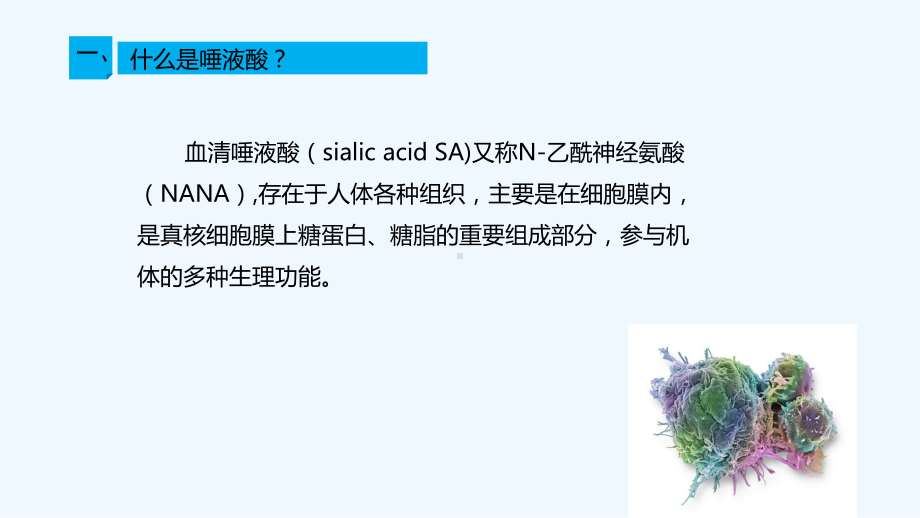 唾液酸临床诊断意义(护眼背景)课件.ppt_第2页