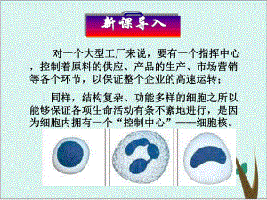 人教版生物必修一《细胞核-系统的控制中心》课件完美版.ppt