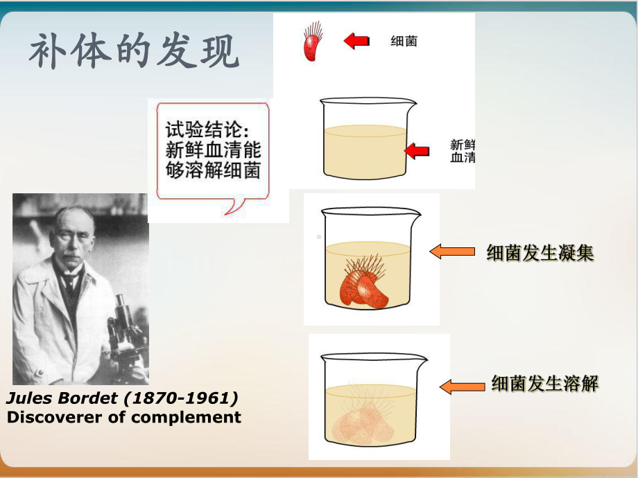 医学免疫学课件补体系统.ppt_第2页