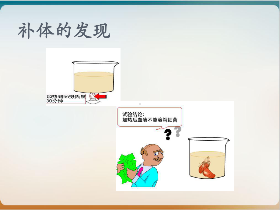 医学免疫学课件补体系统.ppt_第3页