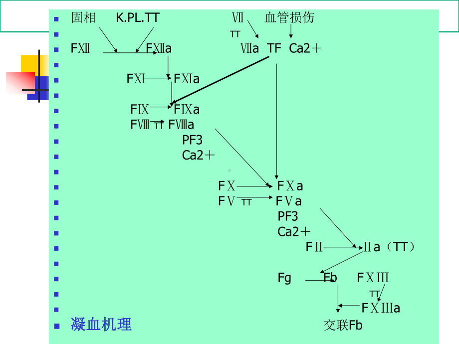 凝血因子异常性疾病和其检验培训课件.ppt_第1页