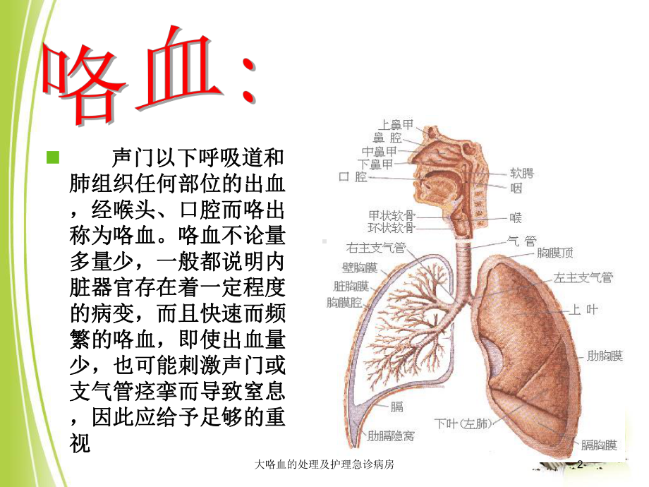 大咯血的处理及护理急诊病房培训课件.ppt_第2页