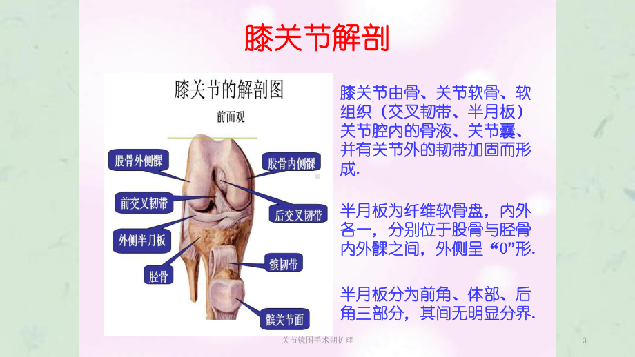 关节镜围手术期护理课件.ppt_第3页