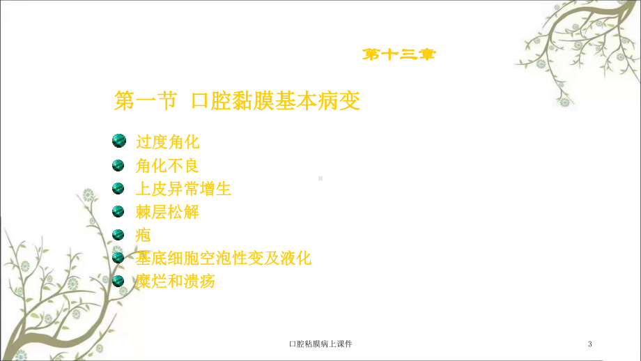 口腔粘膜病上课件.ppt_第3页