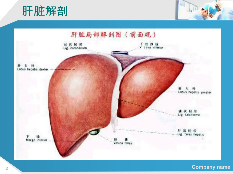 原发性肝癌病人的护理查房课件.pptx_第2页