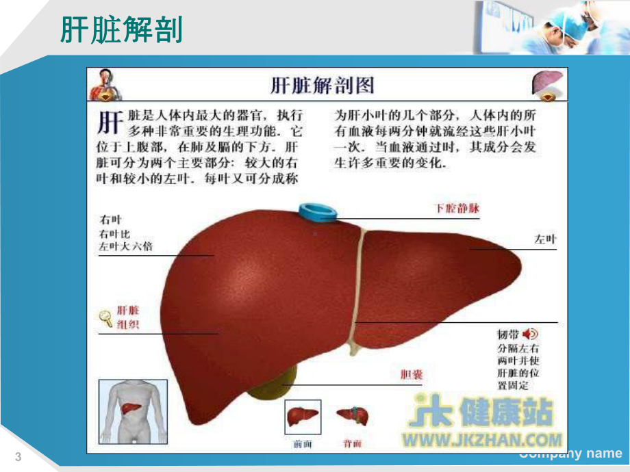 原发性肝癌病人的护理查房课件.pptx_第3页