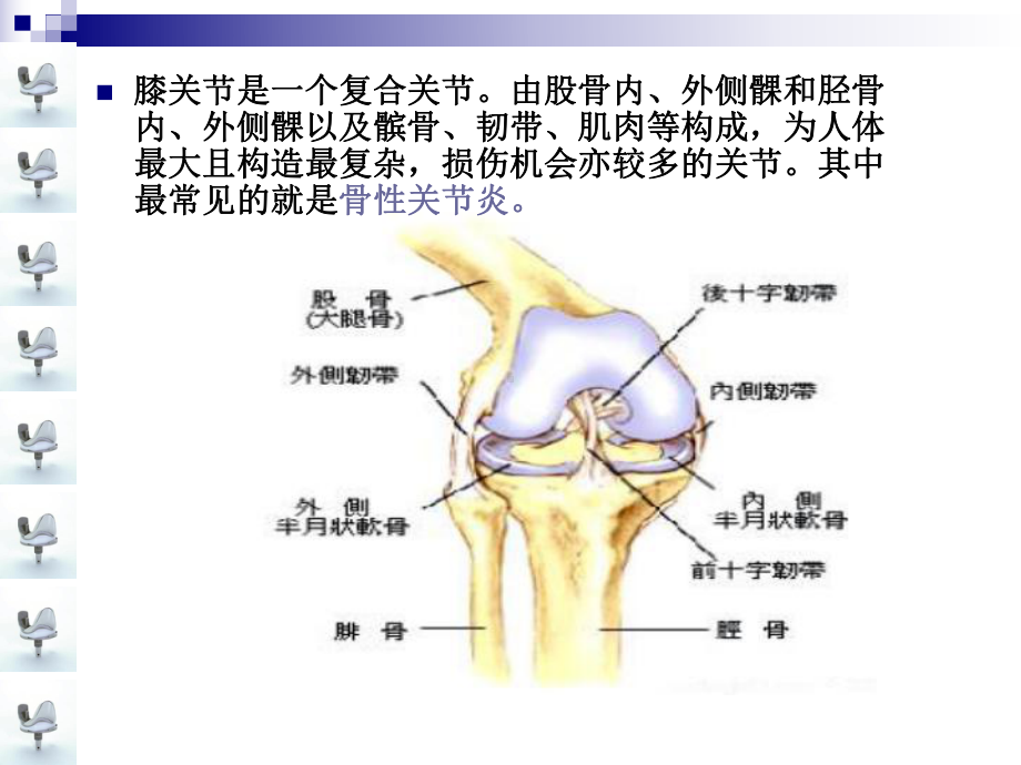 人工膝关节置换术手术配合课件-2.ppt_第3页