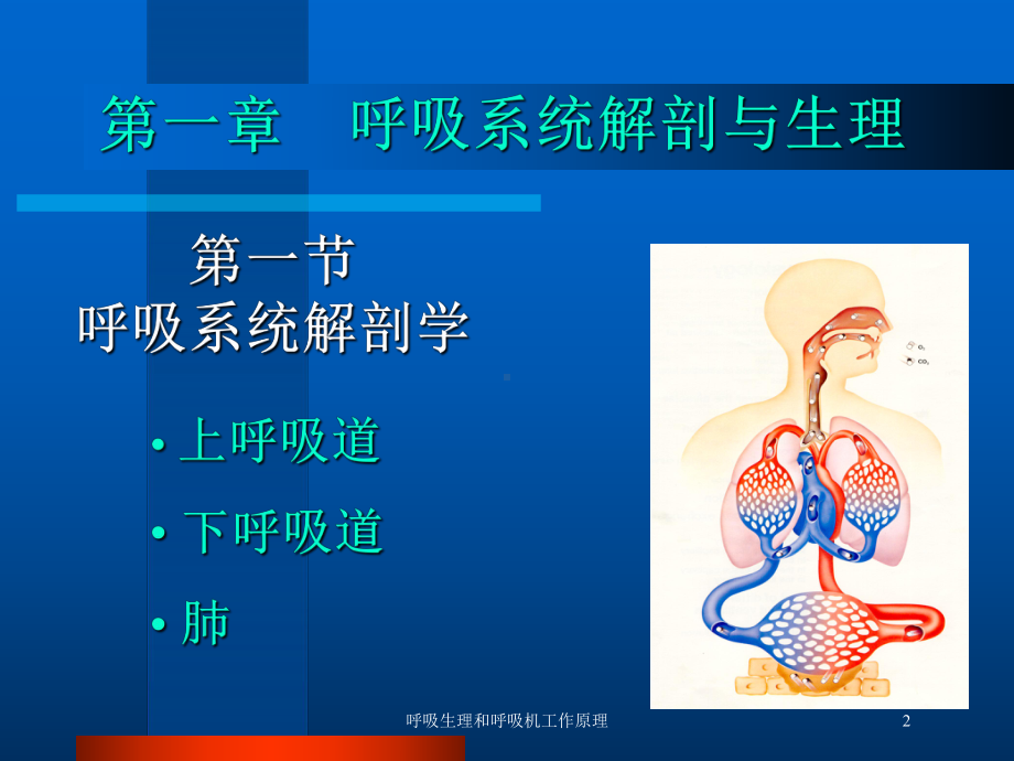 呼吸生理和呼吸机工作原理培训课件.ppt_第2页