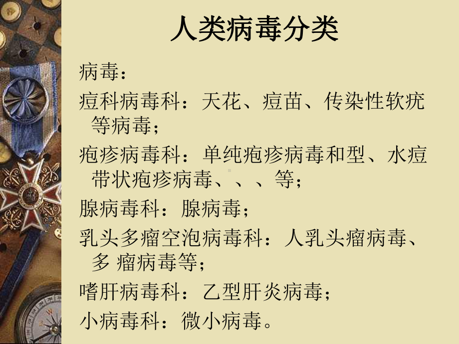 儿科常见病毒性疾病及抗病毒药物课件.ppt_第2页