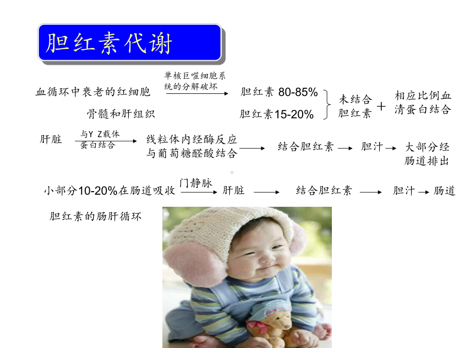 医学新生儿黄疸护理宣讲专题培训课件.ppt_第2页