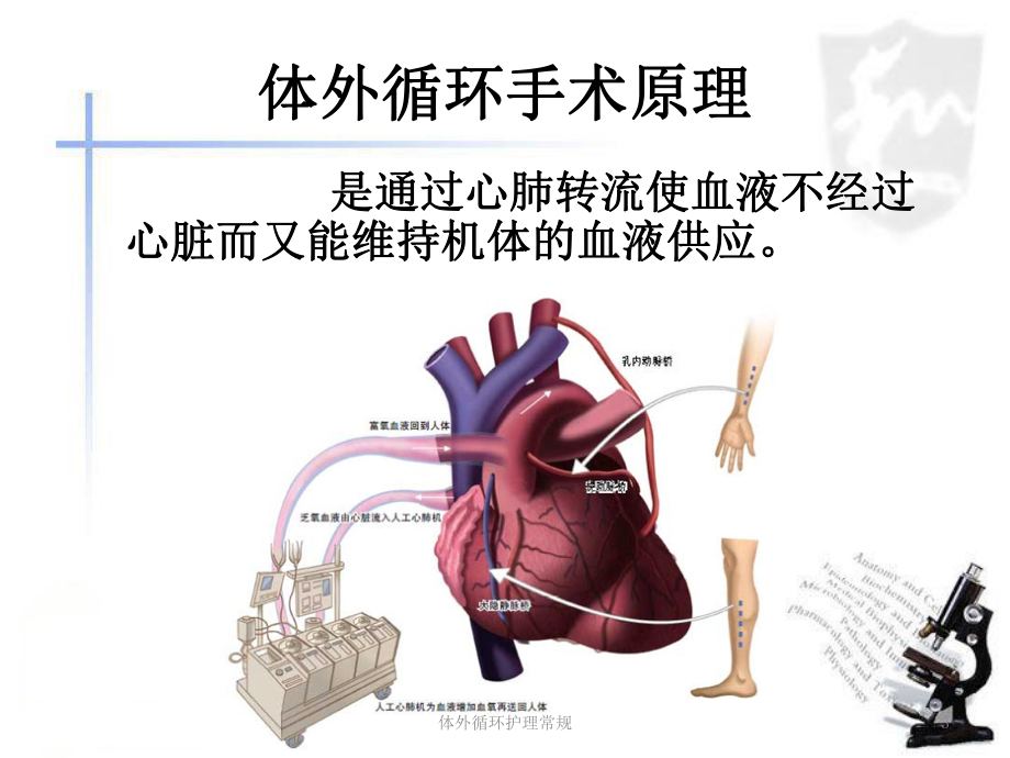 体外循环护理常规培训课件.ppt_第3页