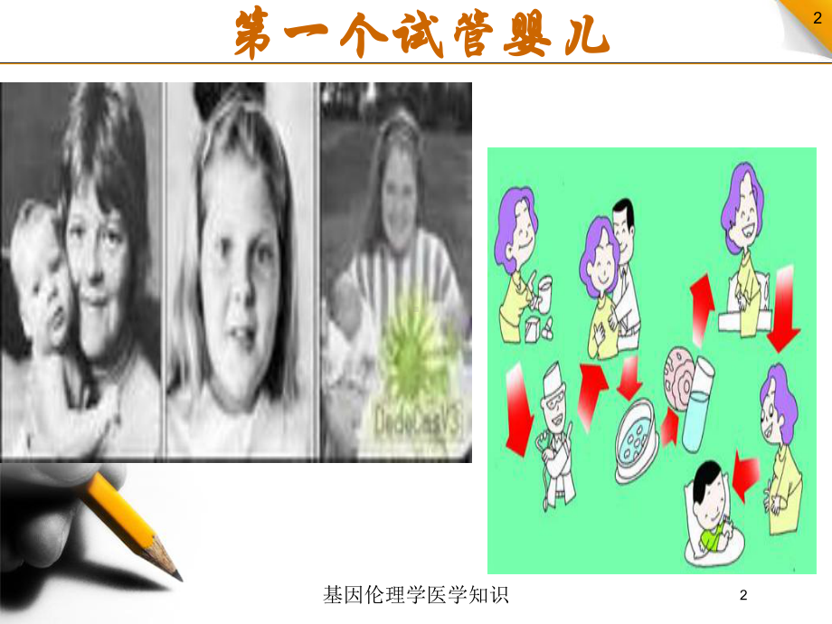 基因伦理学医学知识培训课件.ppt_第2页