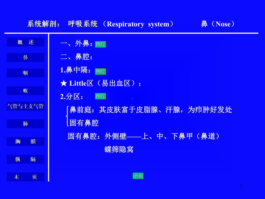 呼吸系统解剖生理课件.ppt_第3页