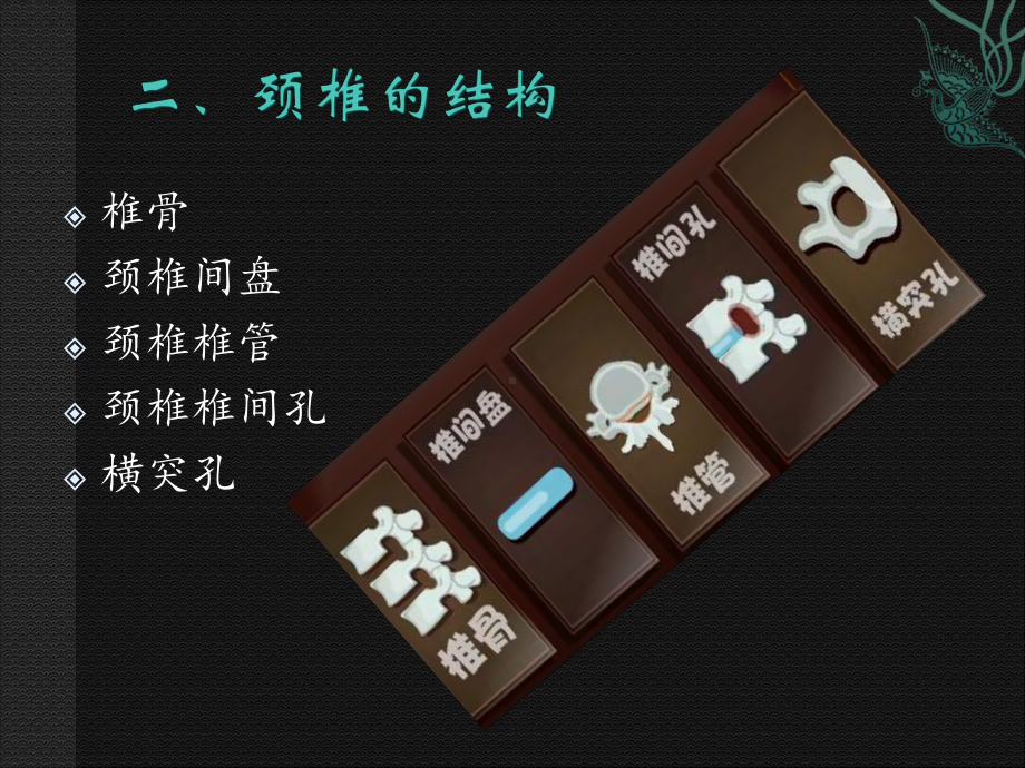 医学课件颈椎病完整版.ppt_第3页