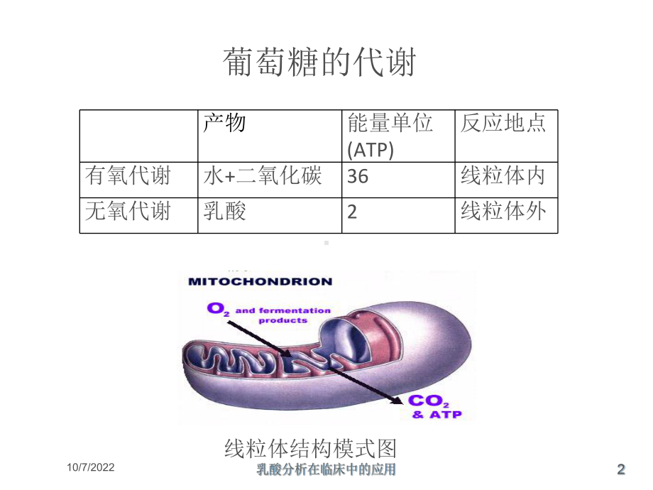 乳酸分析在临床中的应用培训课件.ppt_第2页