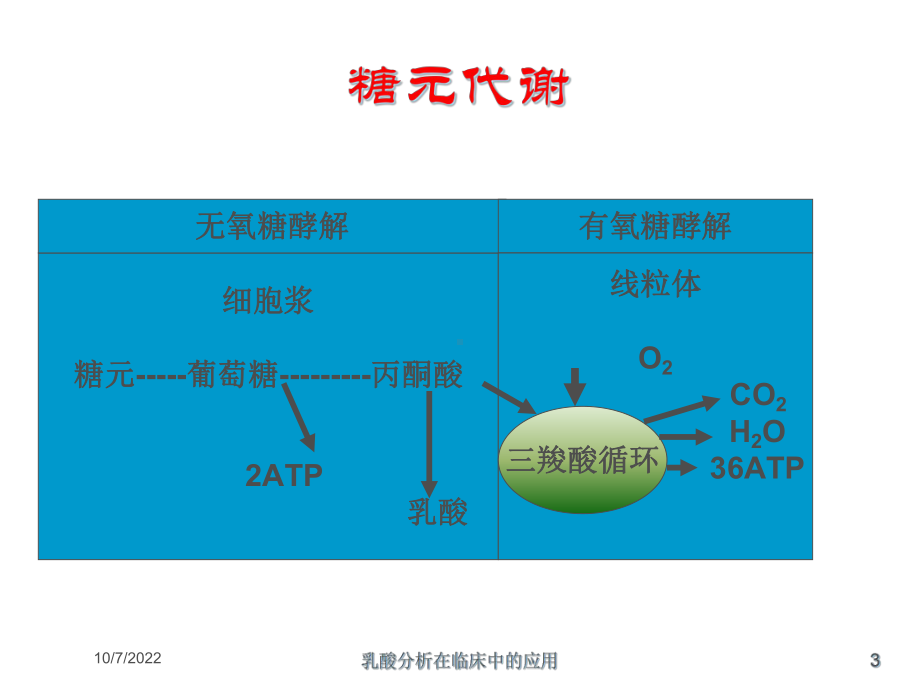 乳酸分析在临床中的应用培训课件.ppt_第3页