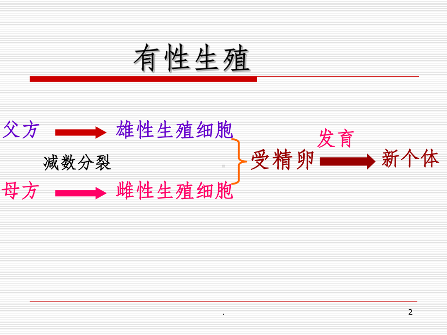 减数分裂过程中染色体数目变化课件-2.ppt_第2页