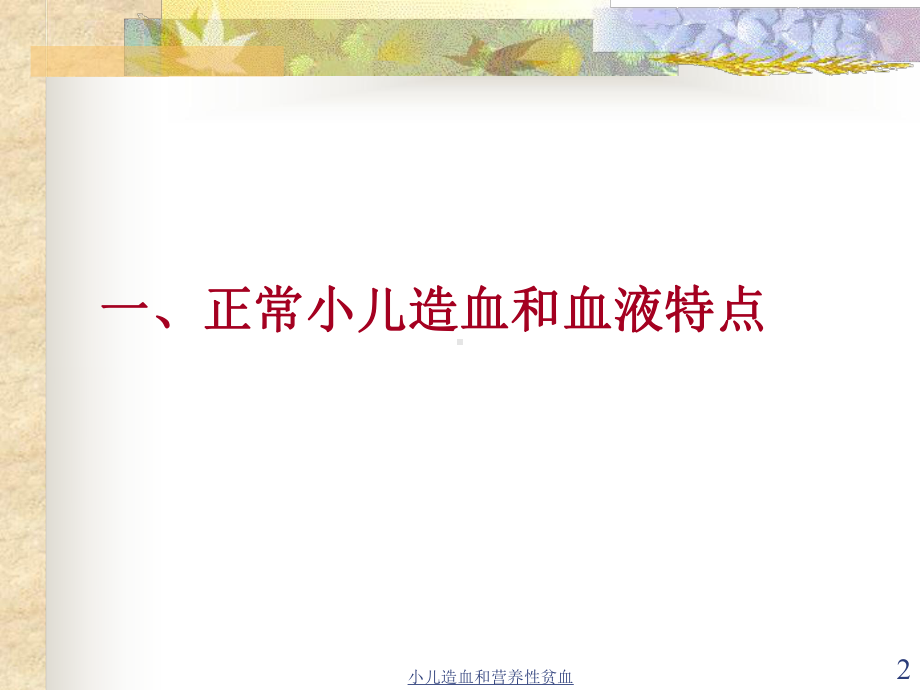 小儿造血和营养性贫血培训课件.ppt_第2页