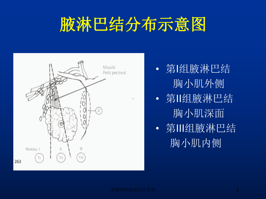 乳腺癌的放射治疗原则培训课件.ppt_第2页