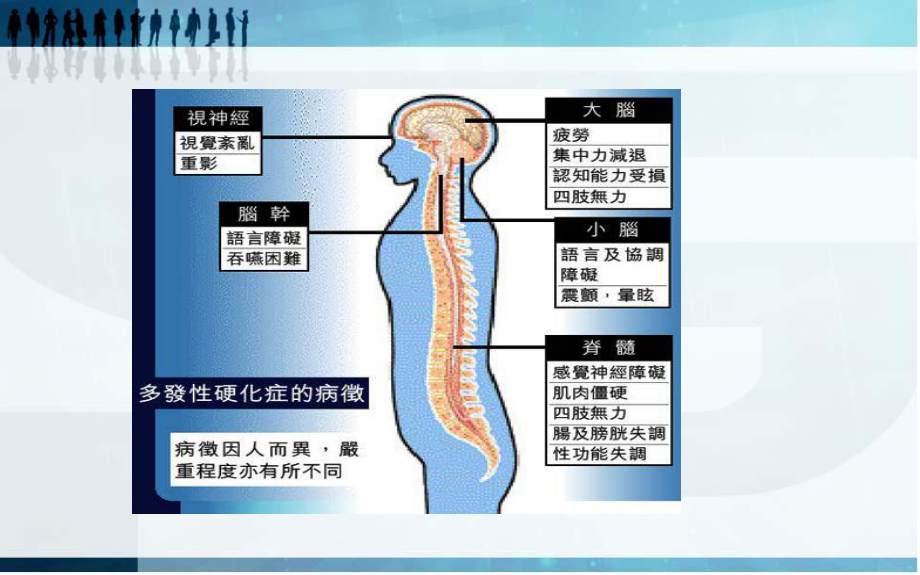 多发性硬化康复培训课件.ppt_第3页