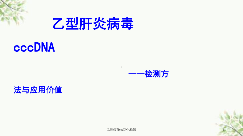 乙肝病毒cccDNA检测课件.ppt_第1页