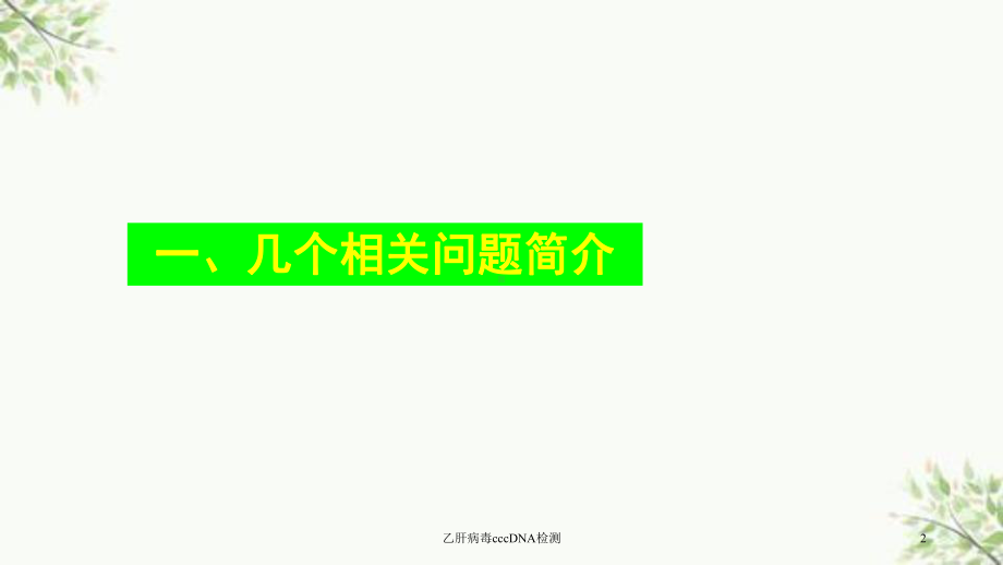 乙肝病毒cccDNA检测课件.ppt_第2页