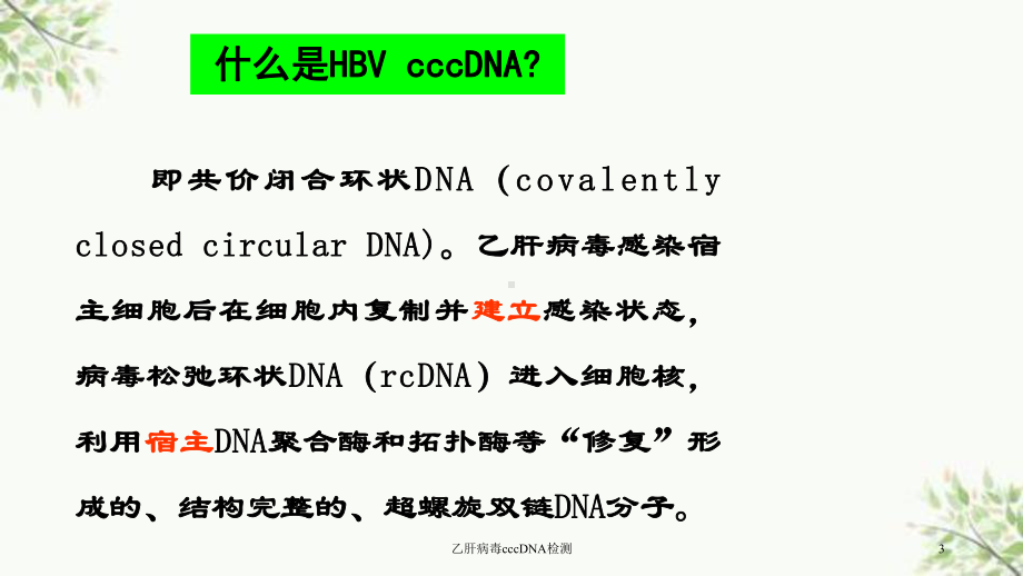 乙肝病毒cccDNA检测课件.ppt_第3页