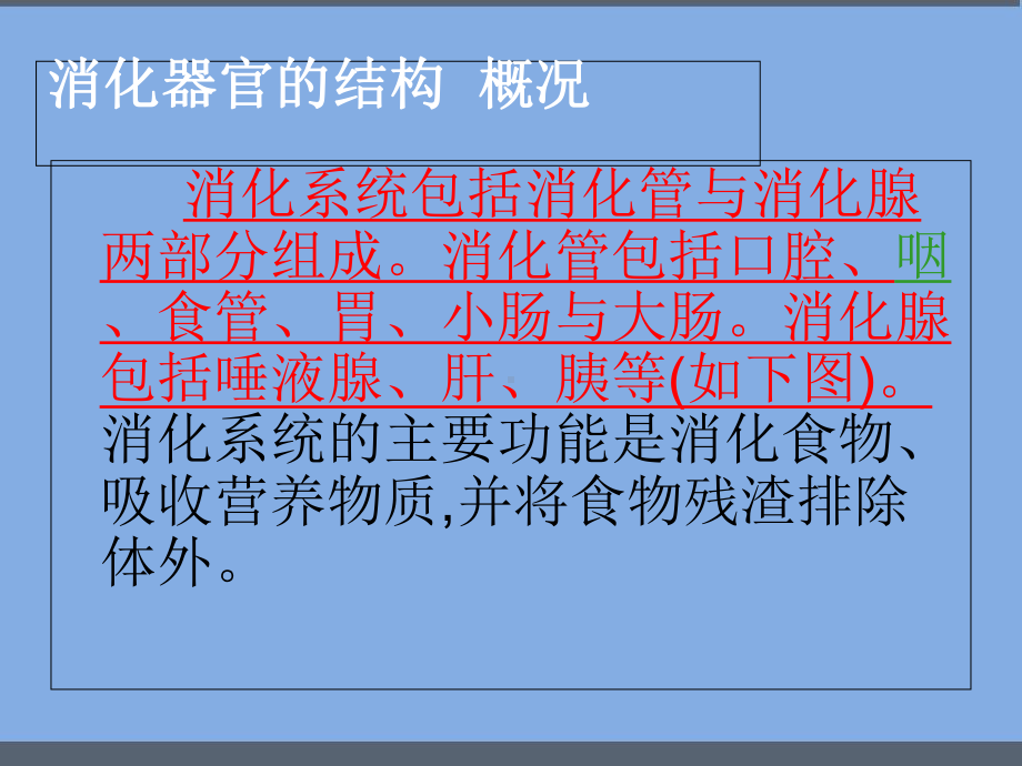 人体的机构与功能之消化系统-课件.ppt_第3页