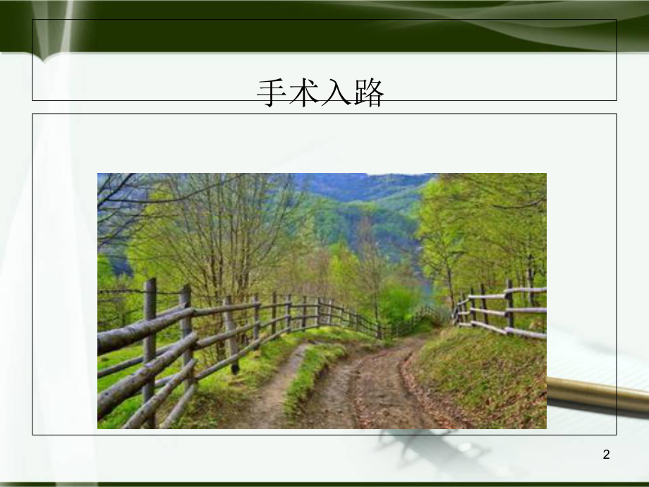 初次全髋关节置换手术技术要点学习课件.ppt_第2页