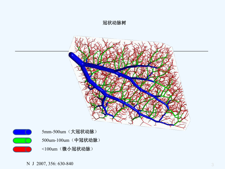 冠状动脉微血管病变与对策课件.ppt_第3页