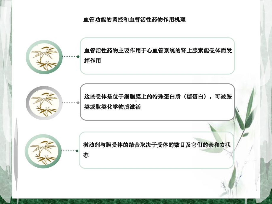 围术期常用血管活性药物课件.ppt_第3页