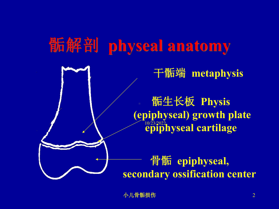 小儿骨骺损伤培训课件.ppt_第2页