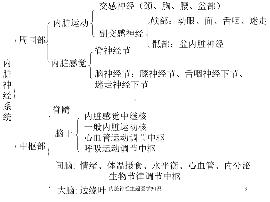 内脏神经主题医学知识培训课件.ppt_第3页