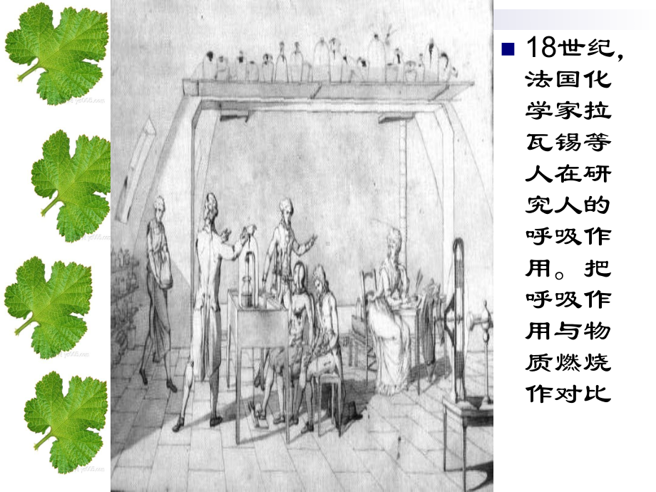 人教版必修1-ATP的主要来源—细胞呼吸-课件(40张).ppt_第2页