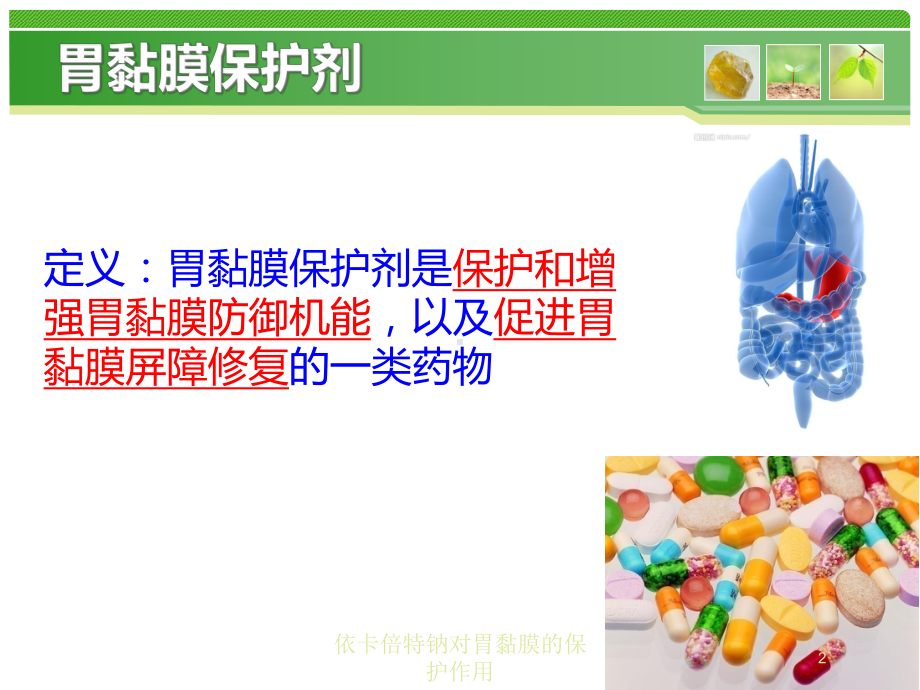 依卡倍特钠对胃黏膜的保护作用培训课件.ppt_第2页