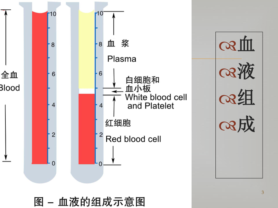 妊娠合并贫血诊断与治疗教学课件.ppt_第3页