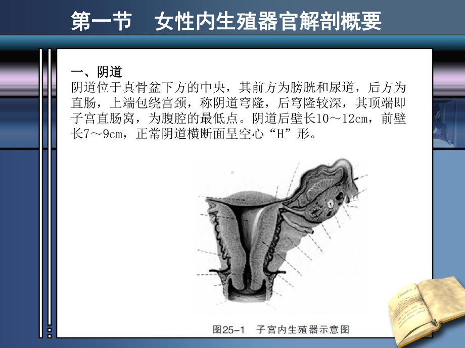 医学妇科常见病的超声诊断培训课件.ppt_第3页