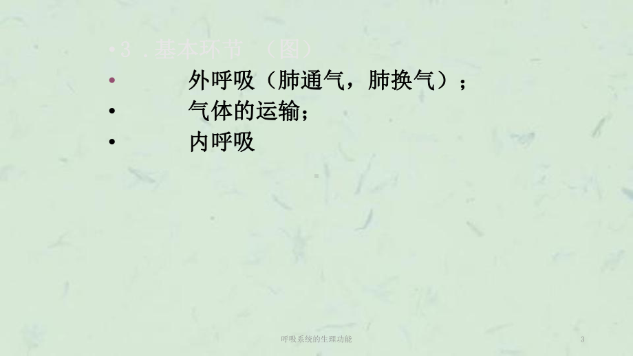 呼吸系统的生理功能课件.ppt_第3页