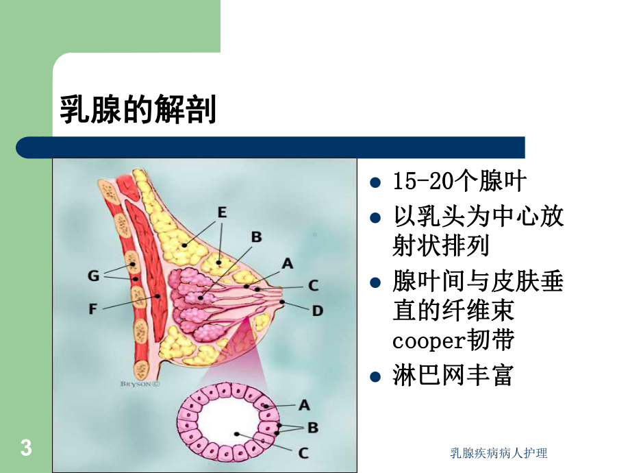 乳腺疾病病人护理课件.ppt_第3页