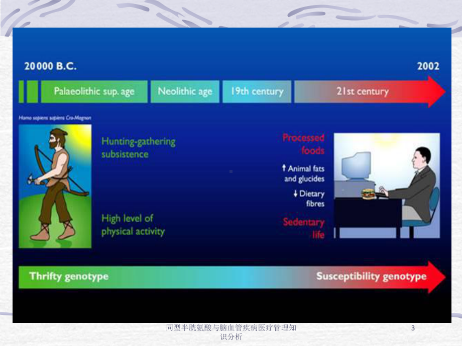 同型半胱氨酸与脑血管疾病医疗管理知识分析培训课件.ppt_第3页